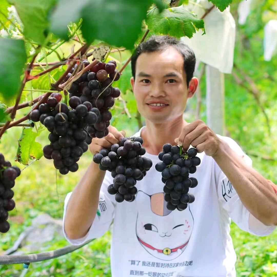 返乡创业青年福哥