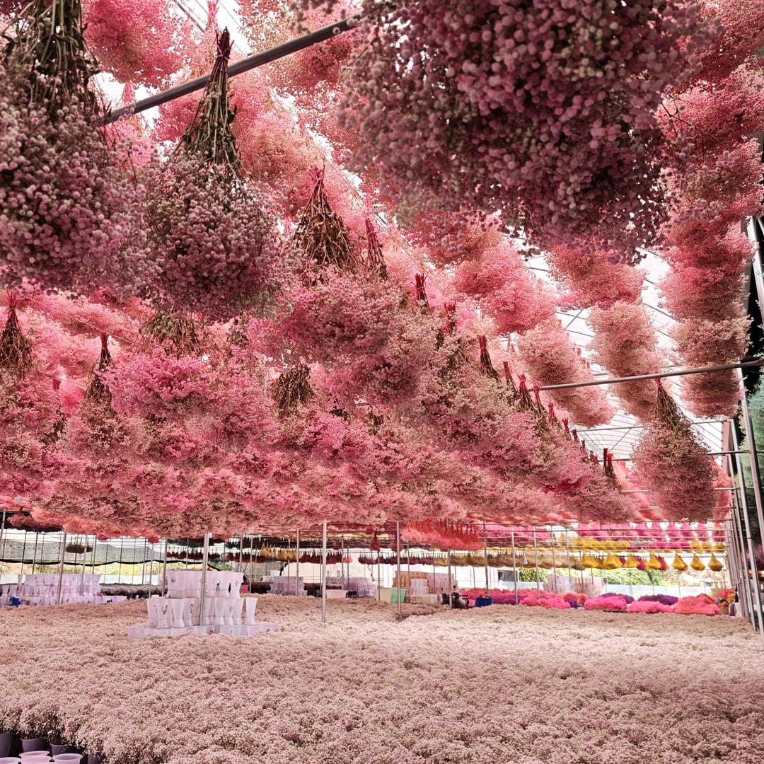 哇塞永生花工厂