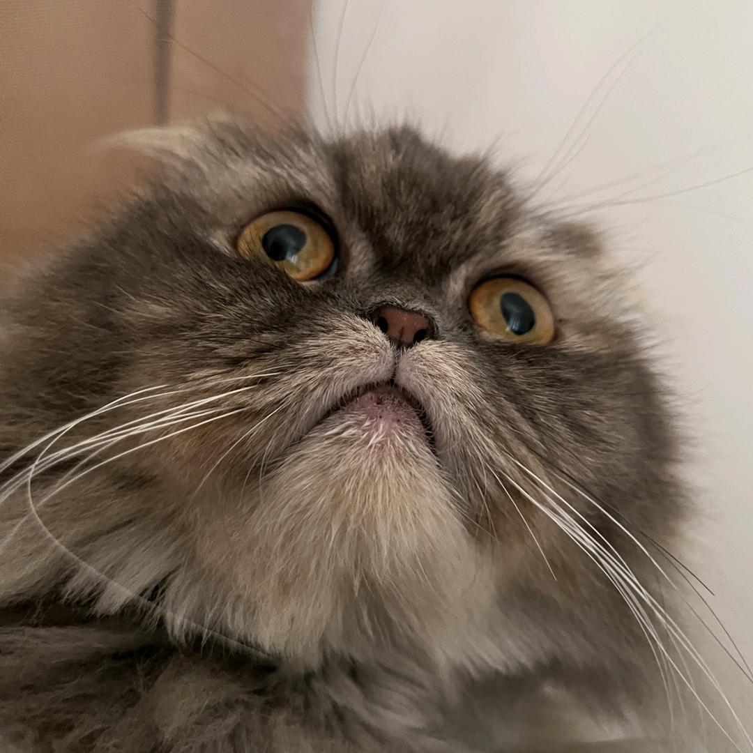 半生瓜