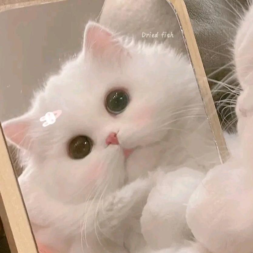 晚饭吃什么