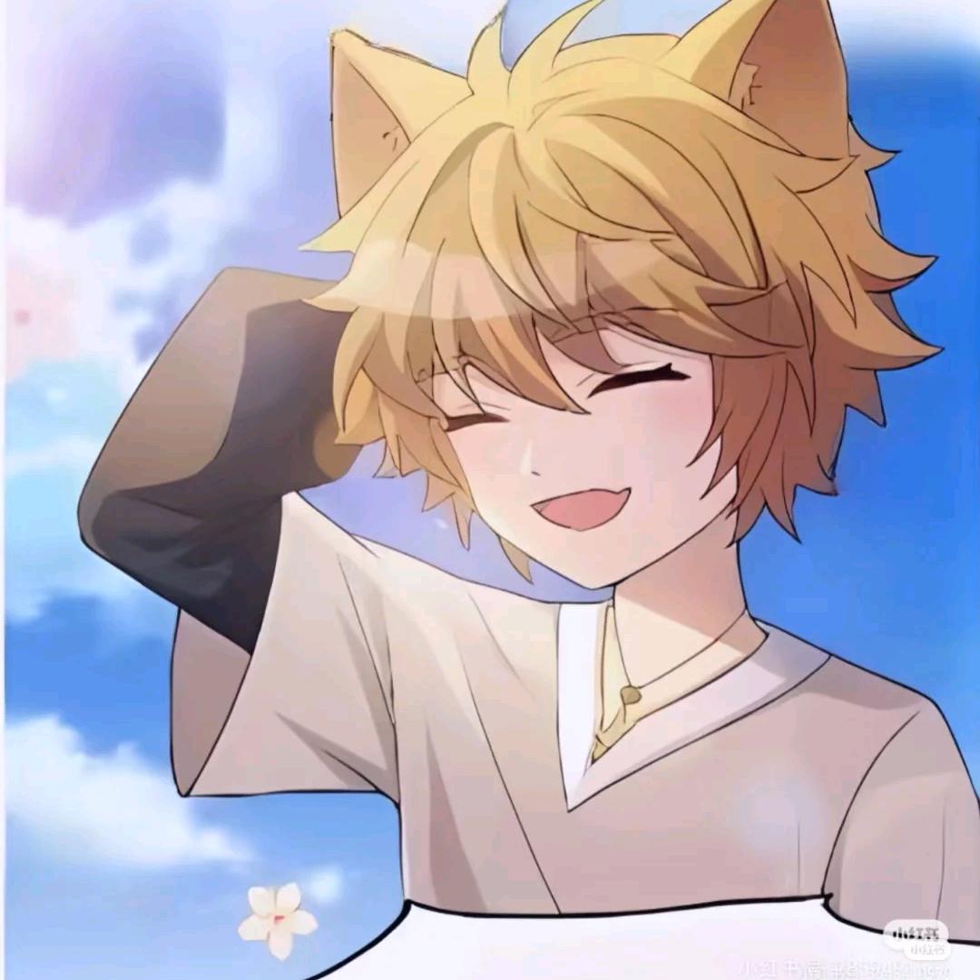 小九