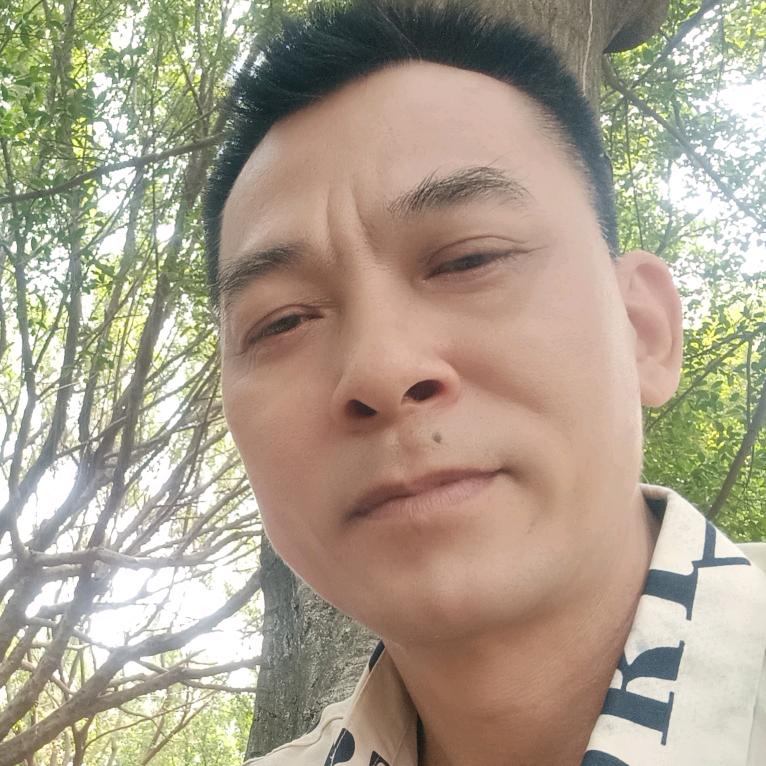 南哥(怀旧经典)