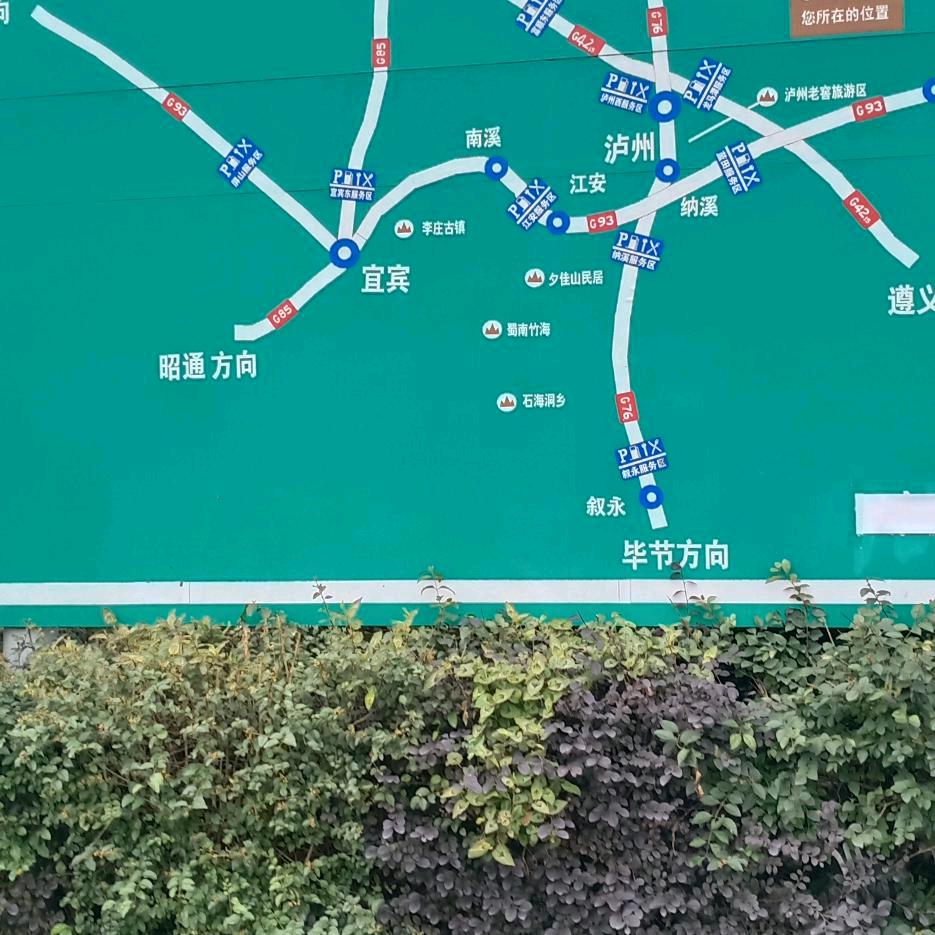 董先生