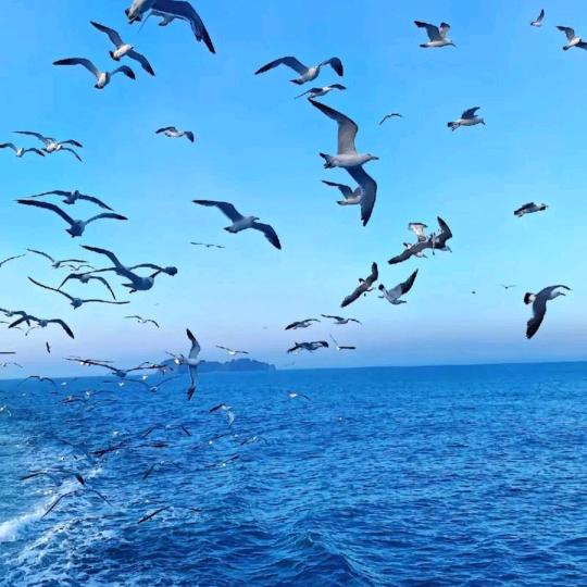 海阔天空