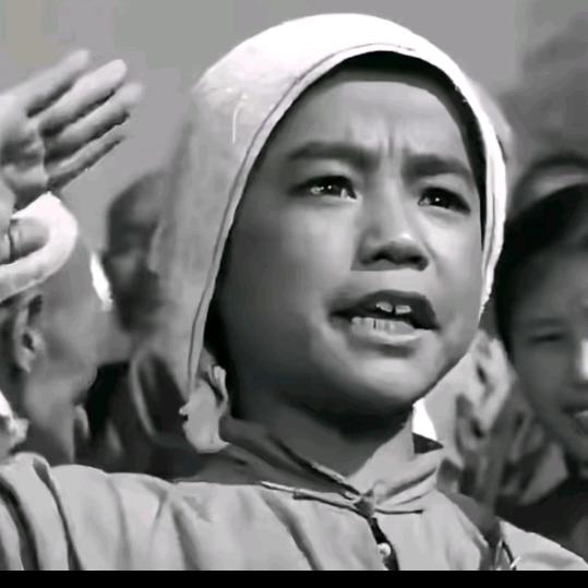 货拉拉拉不完的货