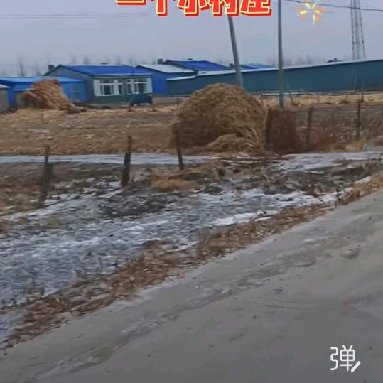 没事我就是溜达