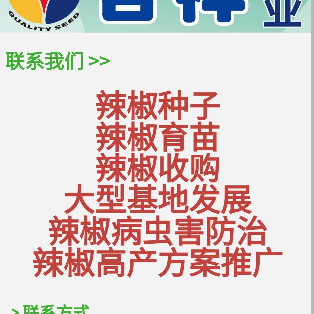 吉祥种业——石磊
