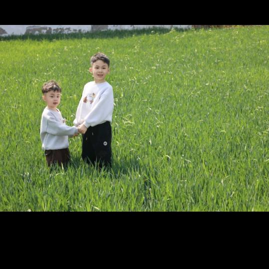 柿柿如意🍅🍅🍅