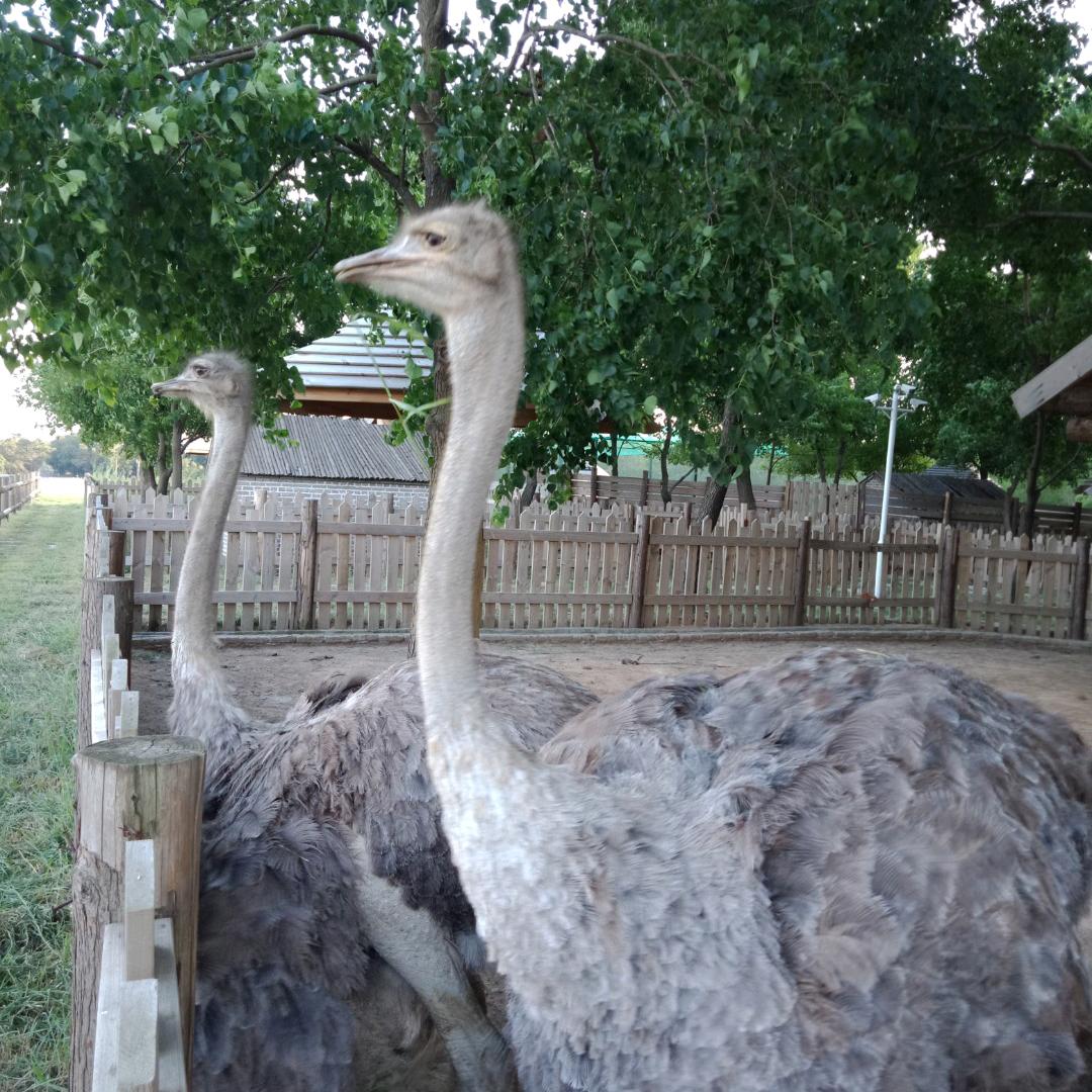 一路有你《909》