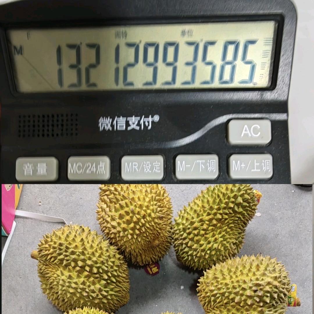 东哥榴莲批发
