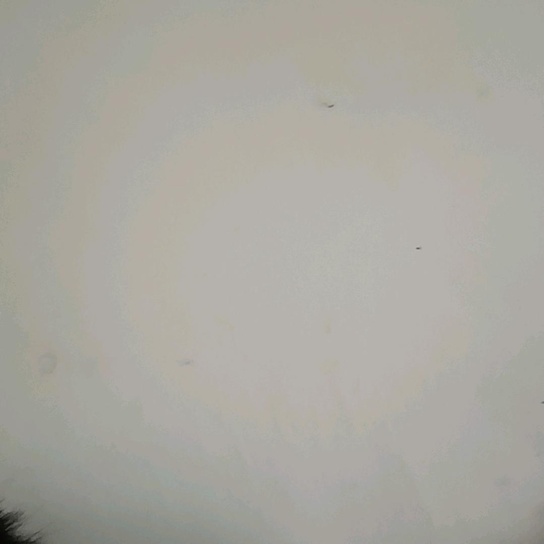 白墙