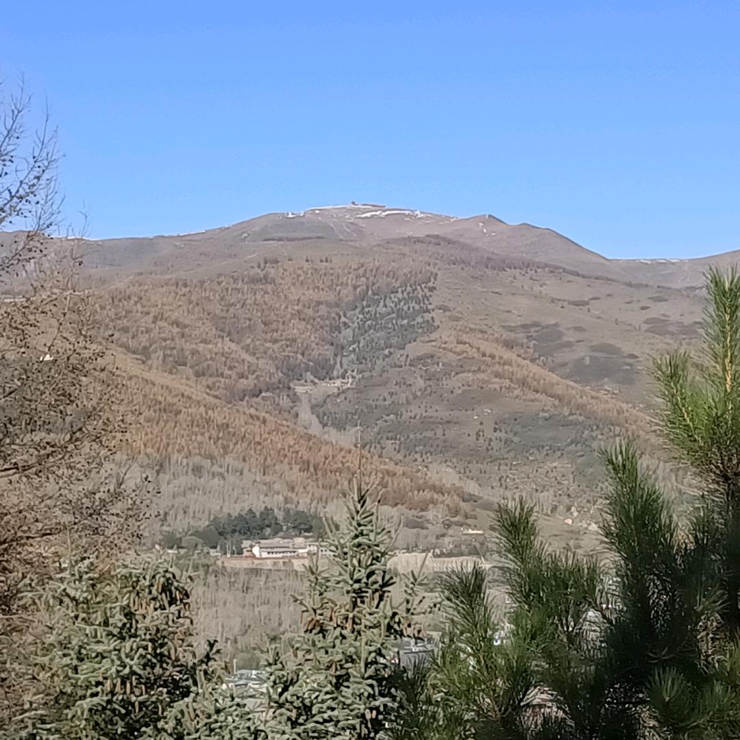 小鱼儿（加油涨粉中）