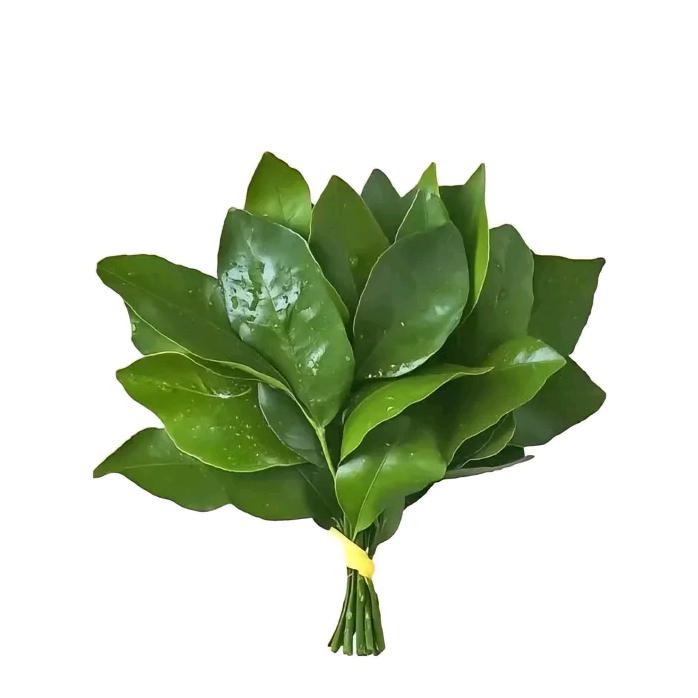 绪眠