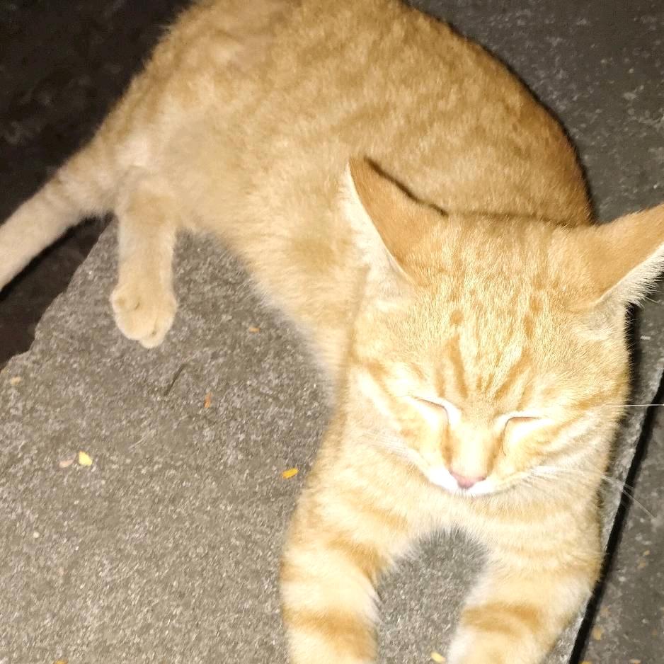 孤独一个人