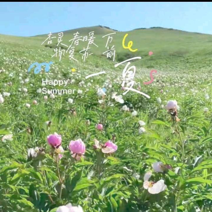 💗半殇缘💗116118