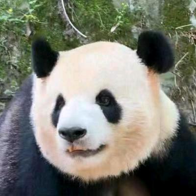元宝🌈猪猪十分饱🐮丫头🐼🗻