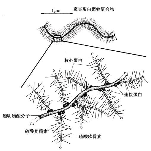 唐琳琳