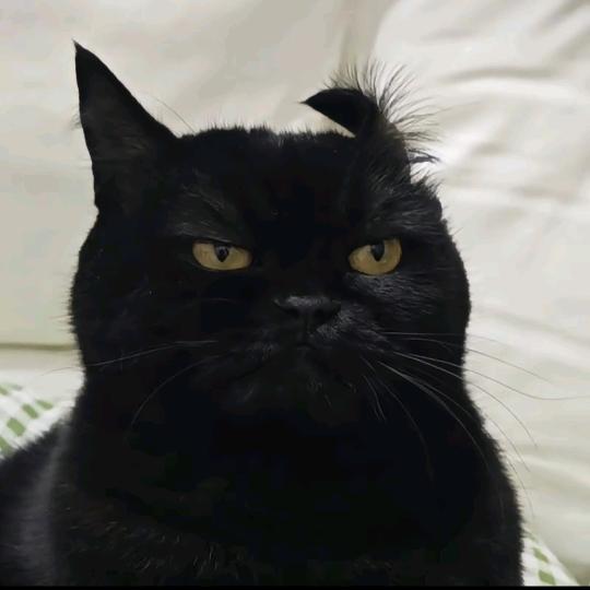 阿斯顿发过火寒假快乐拉拉话