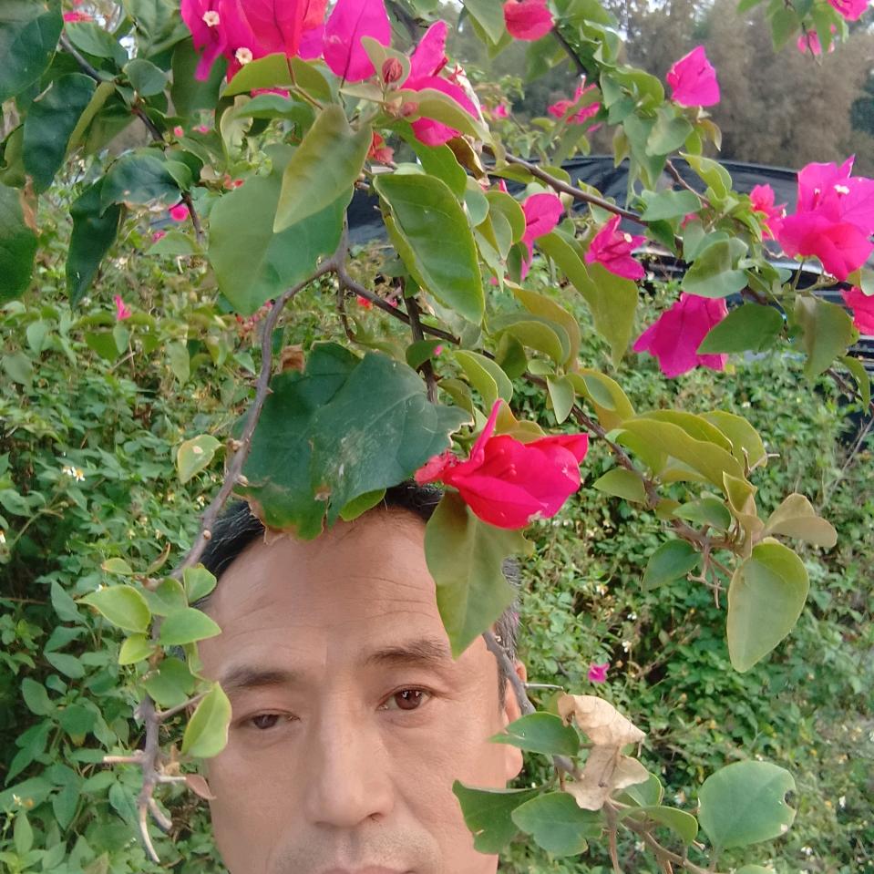 小莲弟