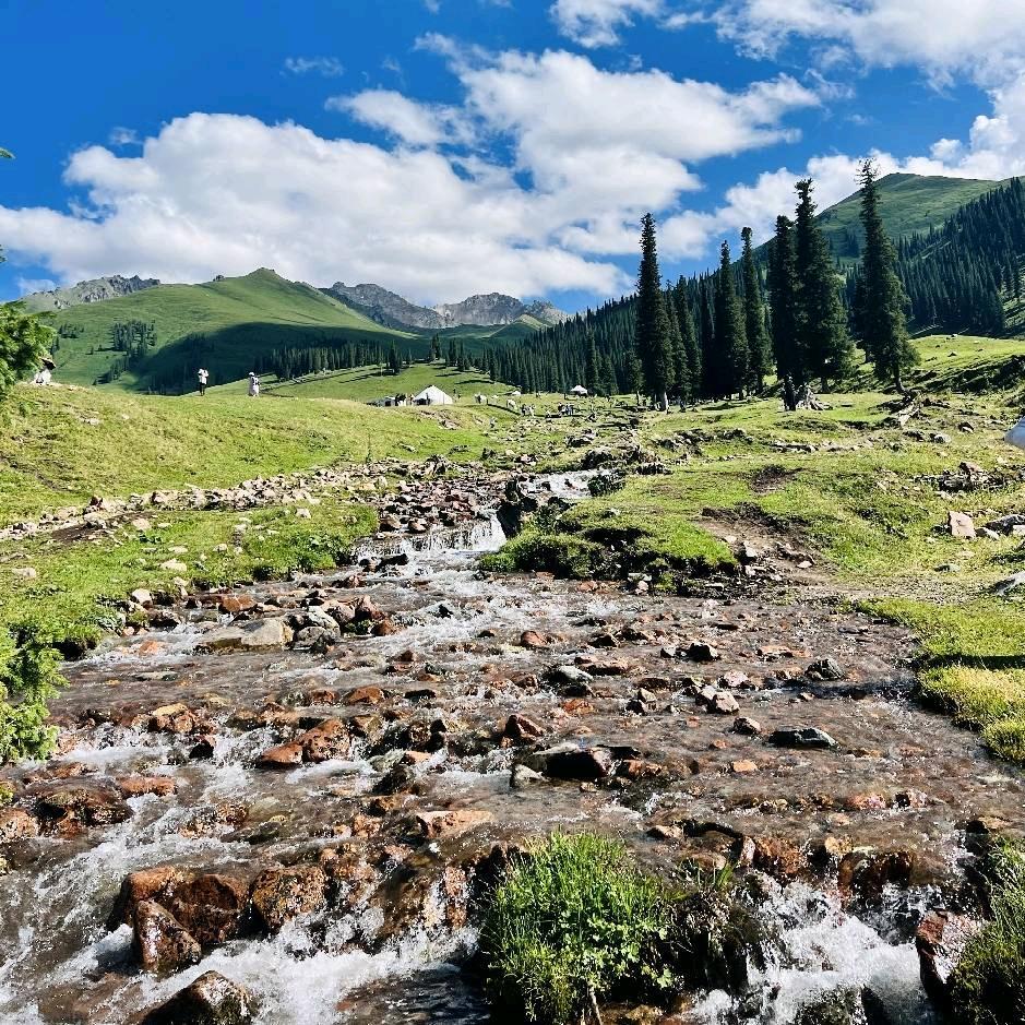 ꦿ᭢᭄习ᩚ惯᭄沉ᩚ默᭄࿑ᩧ