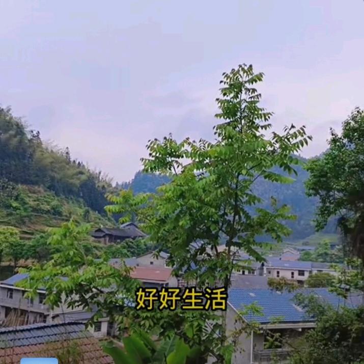 为你停留