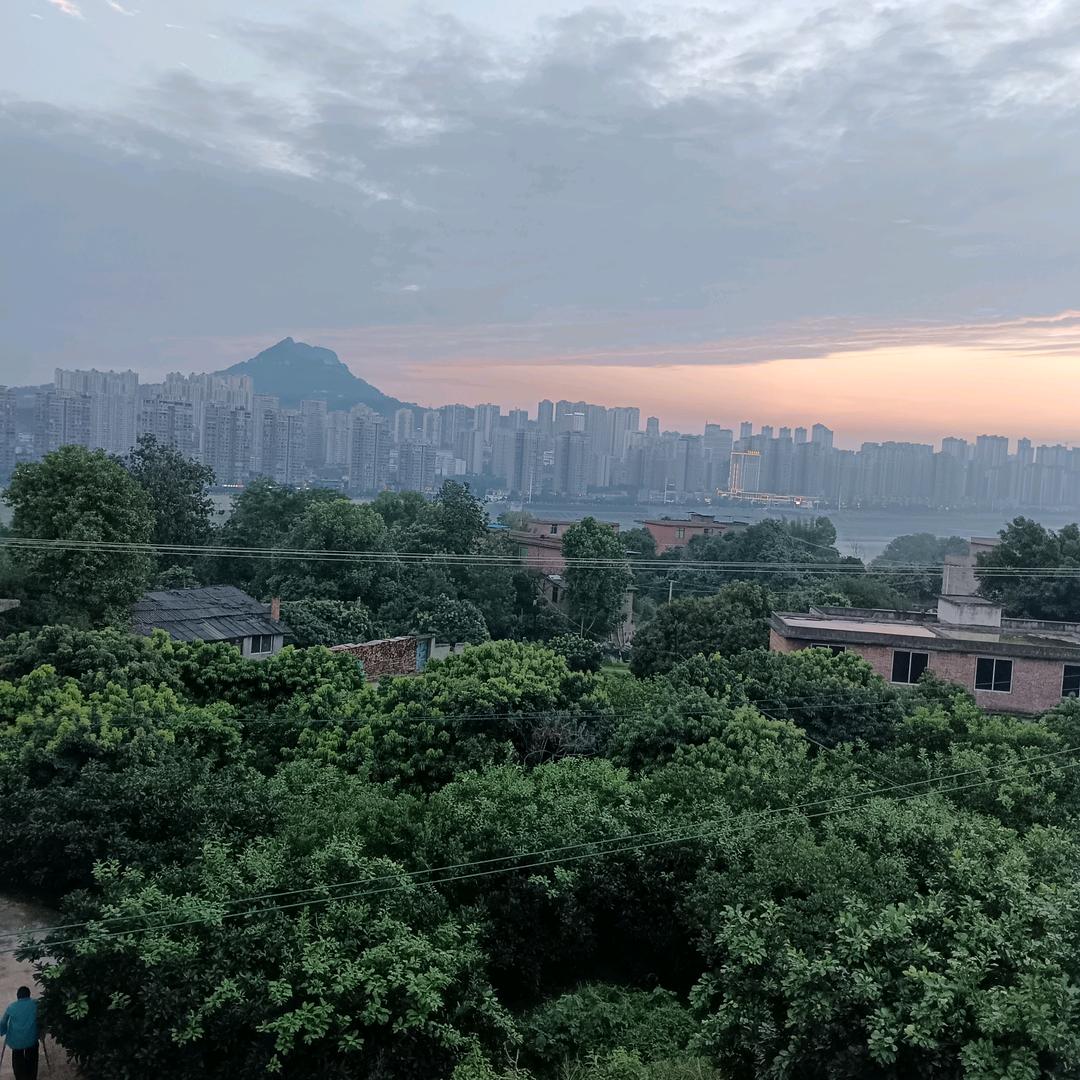 玲