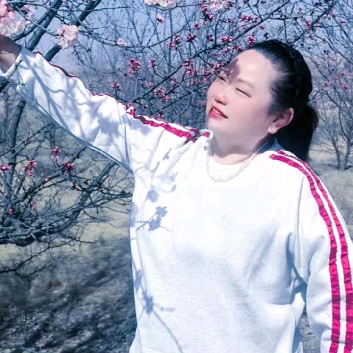 善恶有轮回，苍天饶过谁