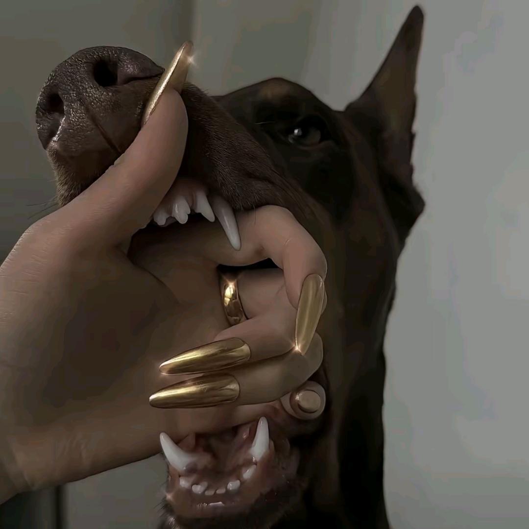 ꦿ盼᭄儿໊ོএꦿ᭄