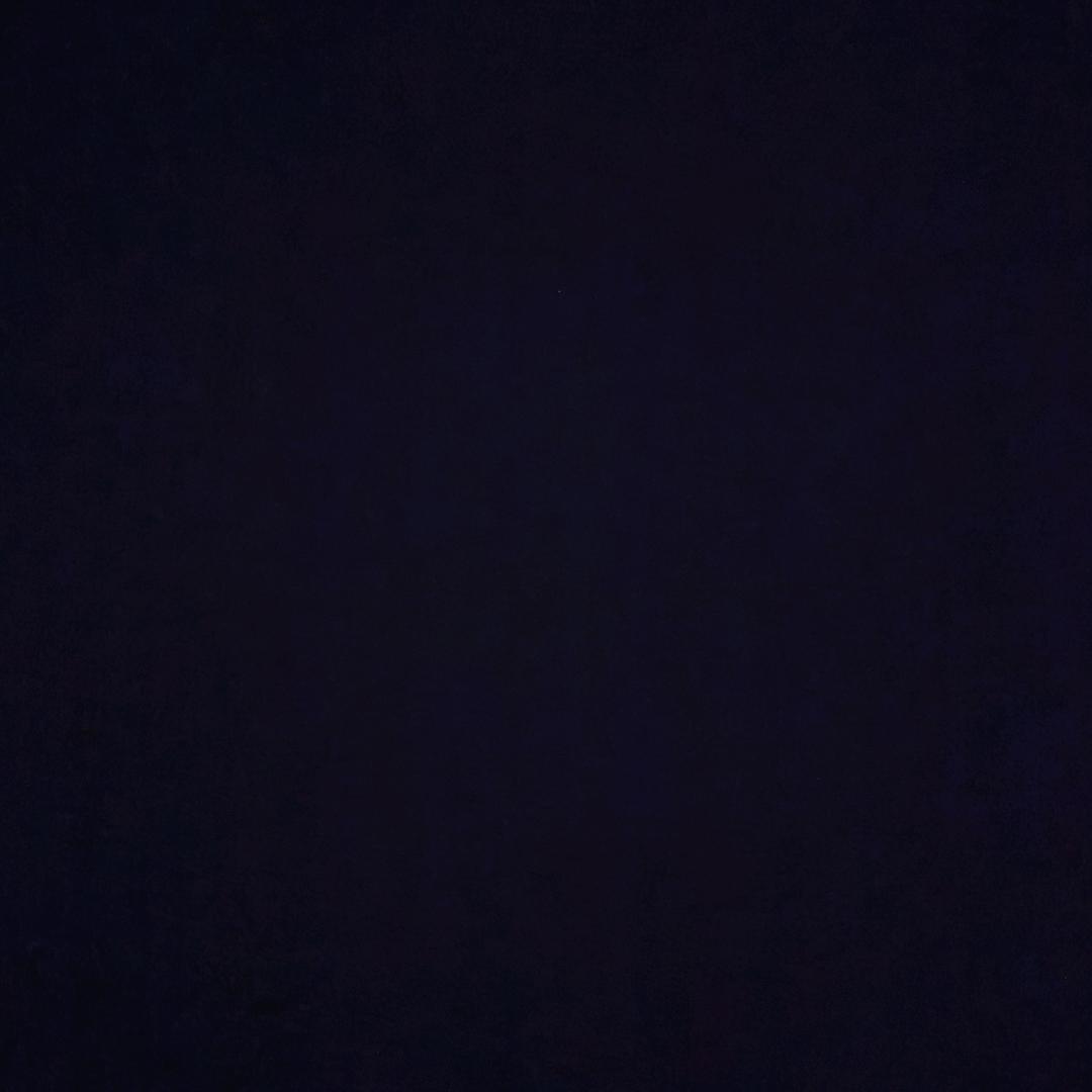 Ｌ(｡･ω･｡)ﾉ♡