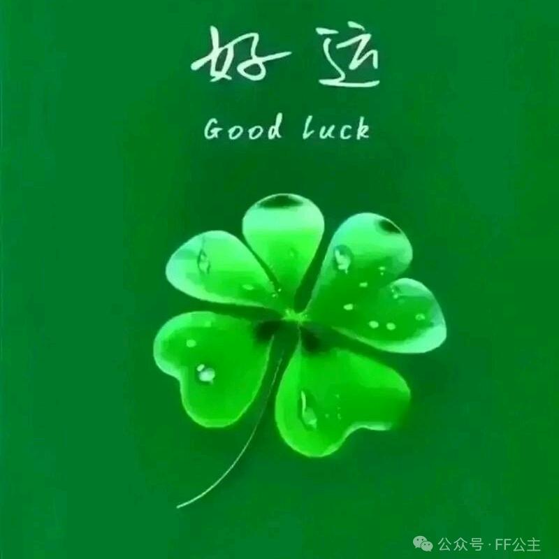 小福星ღ᭄1314