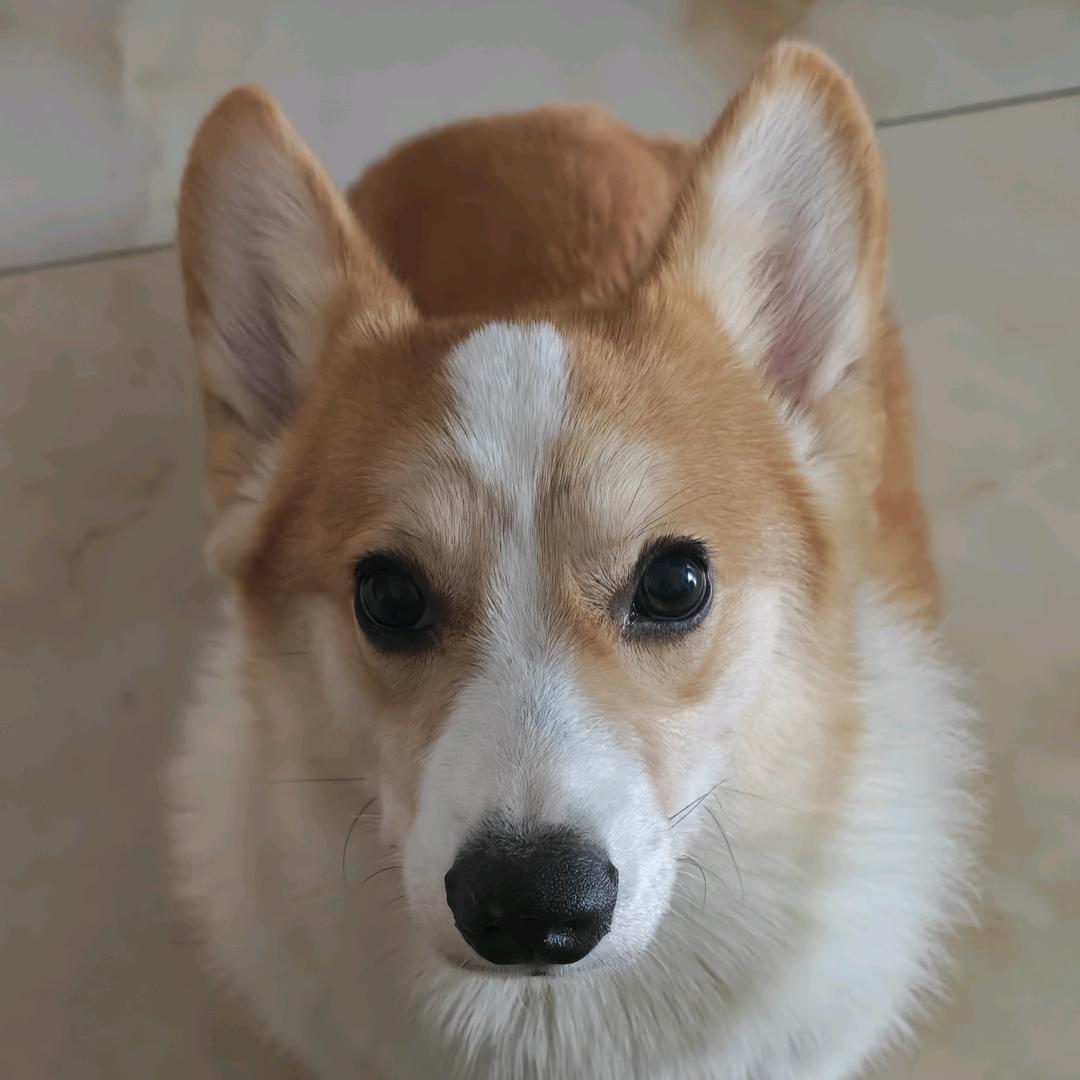 ꒰ঌ随缘ᐝ໒꒱