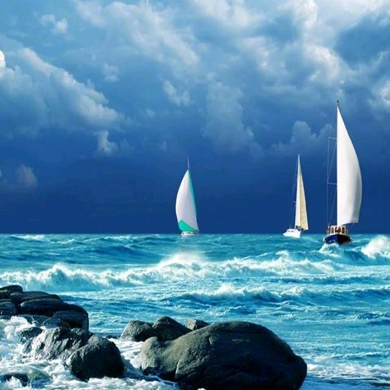 海～