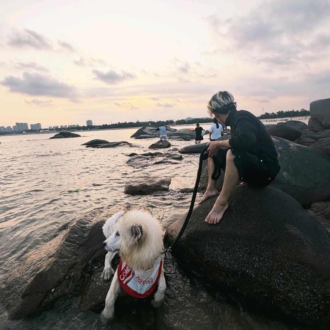 小哈是阿拉斯加