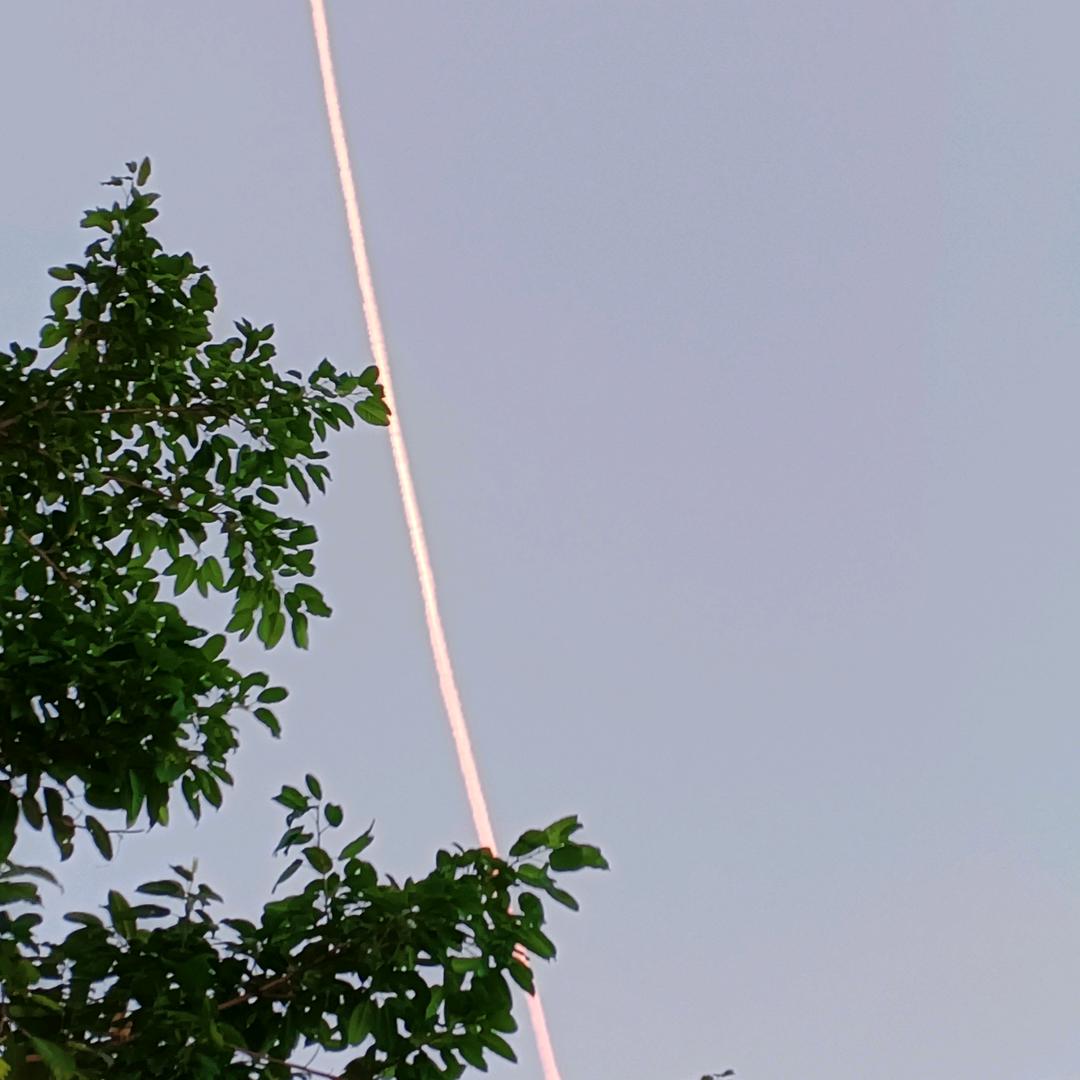 杰瑞哥带你看国际本科。硕士 博士