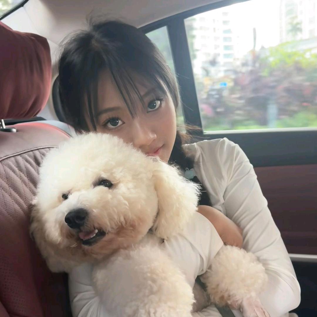 艺条小金鱼