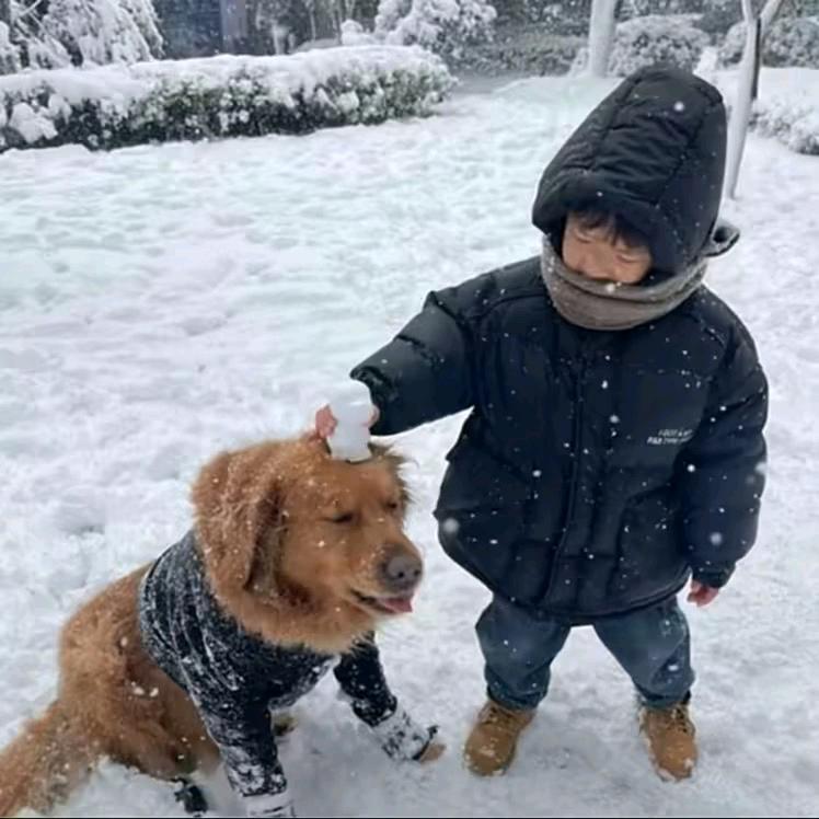 你别哭