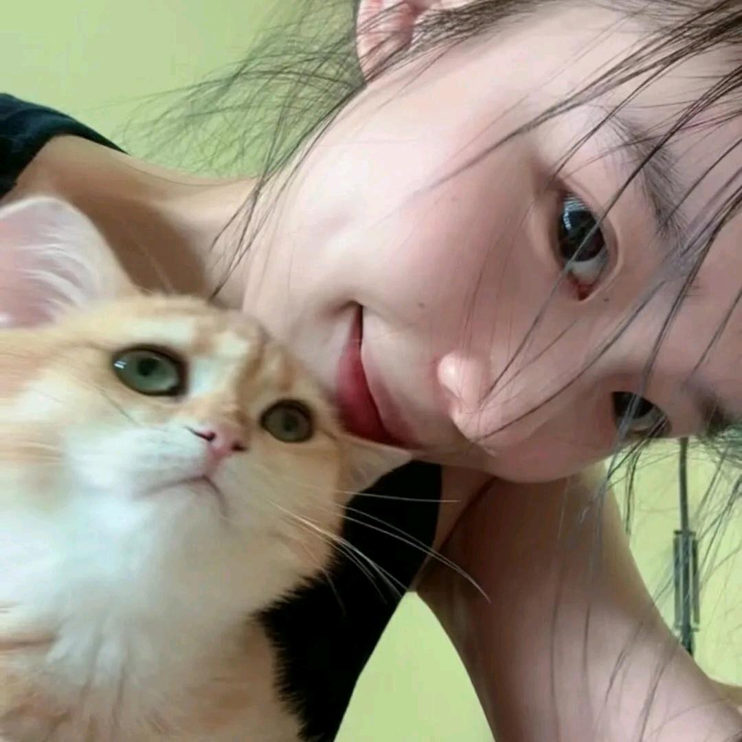 夏 意.