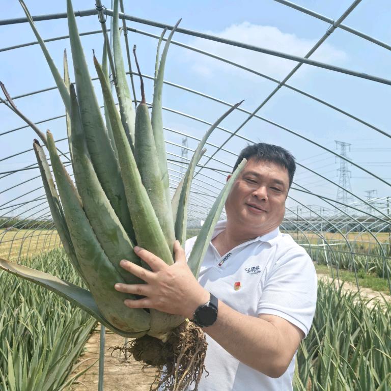 周口葛家荟农业好货店