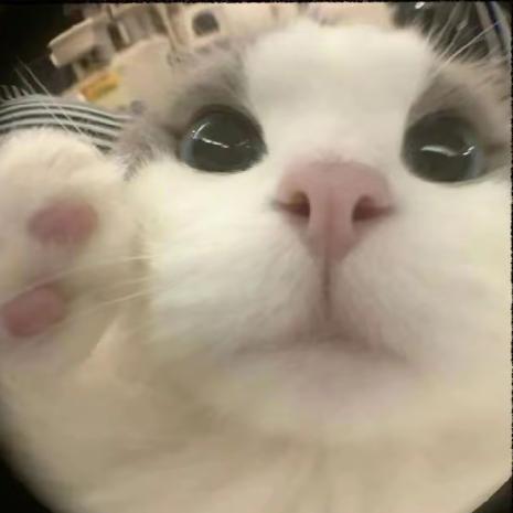 叽里咕噜