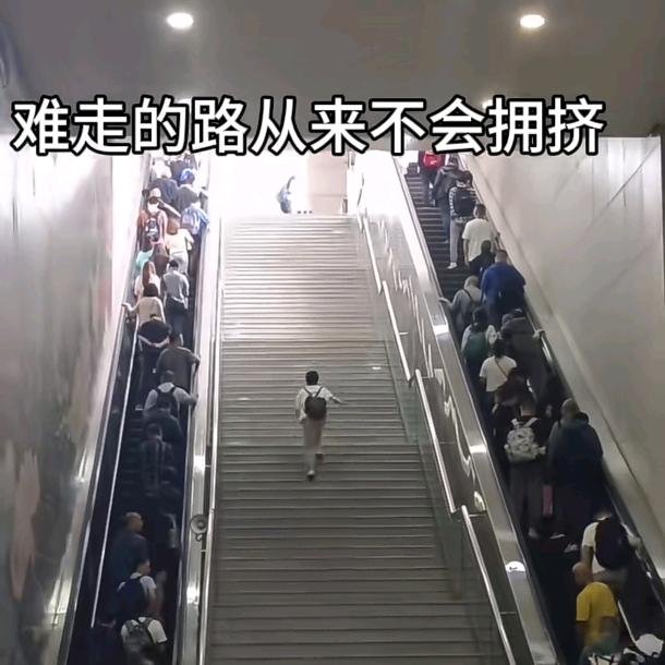 识限