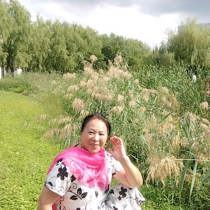 诗涵