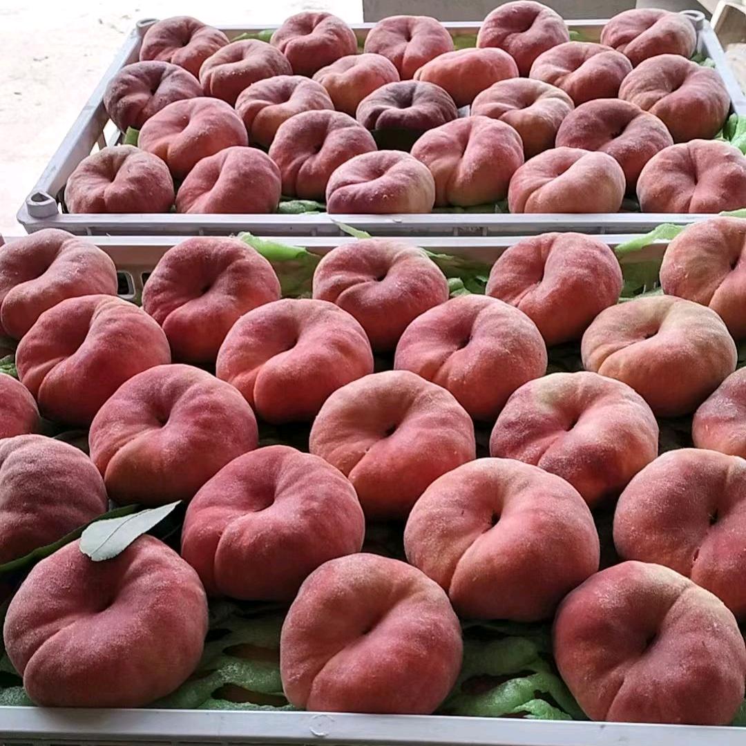 河北保定代办各种精品桃子