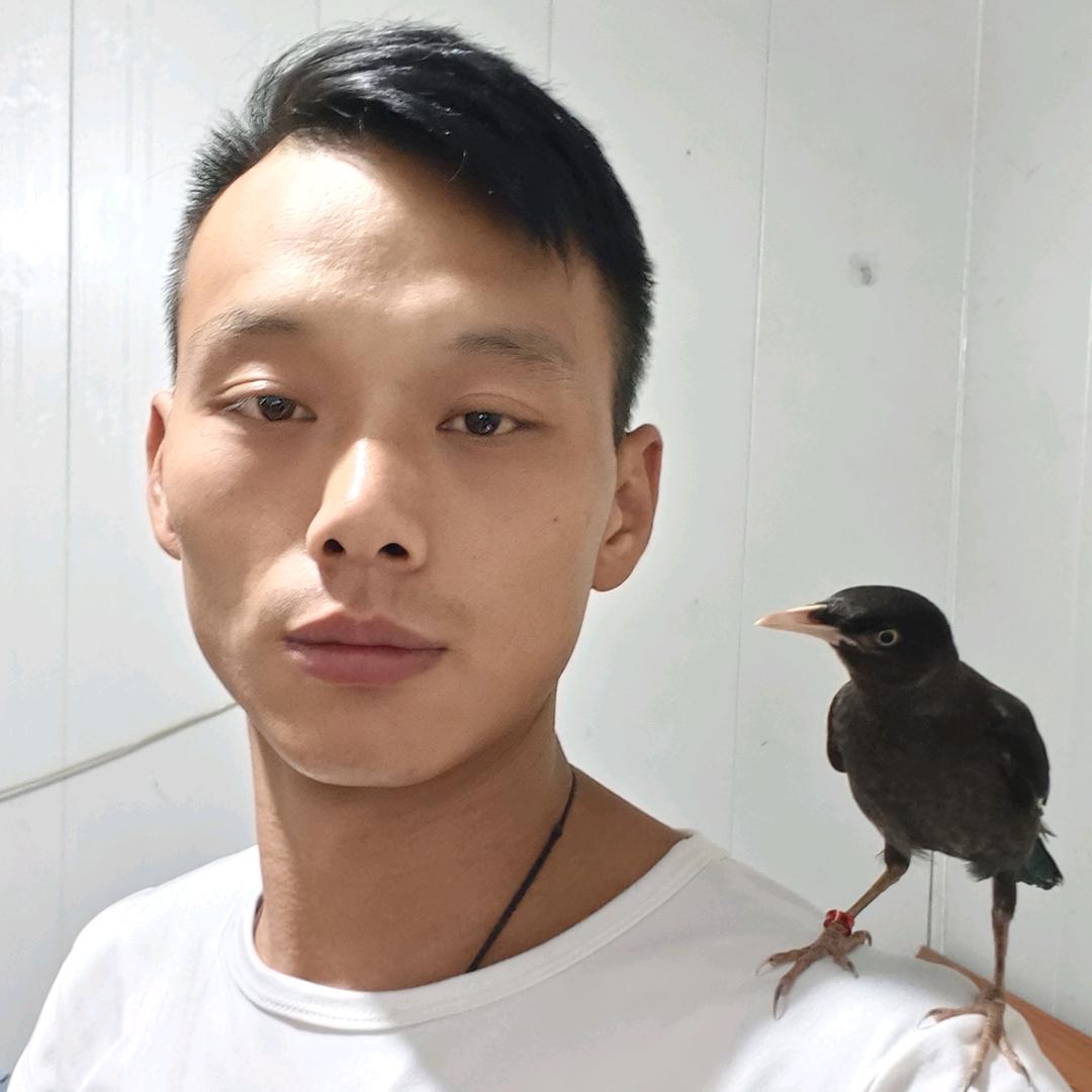 琪琪哥