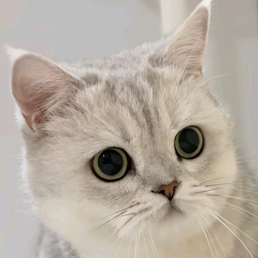 米乐的快乐生活