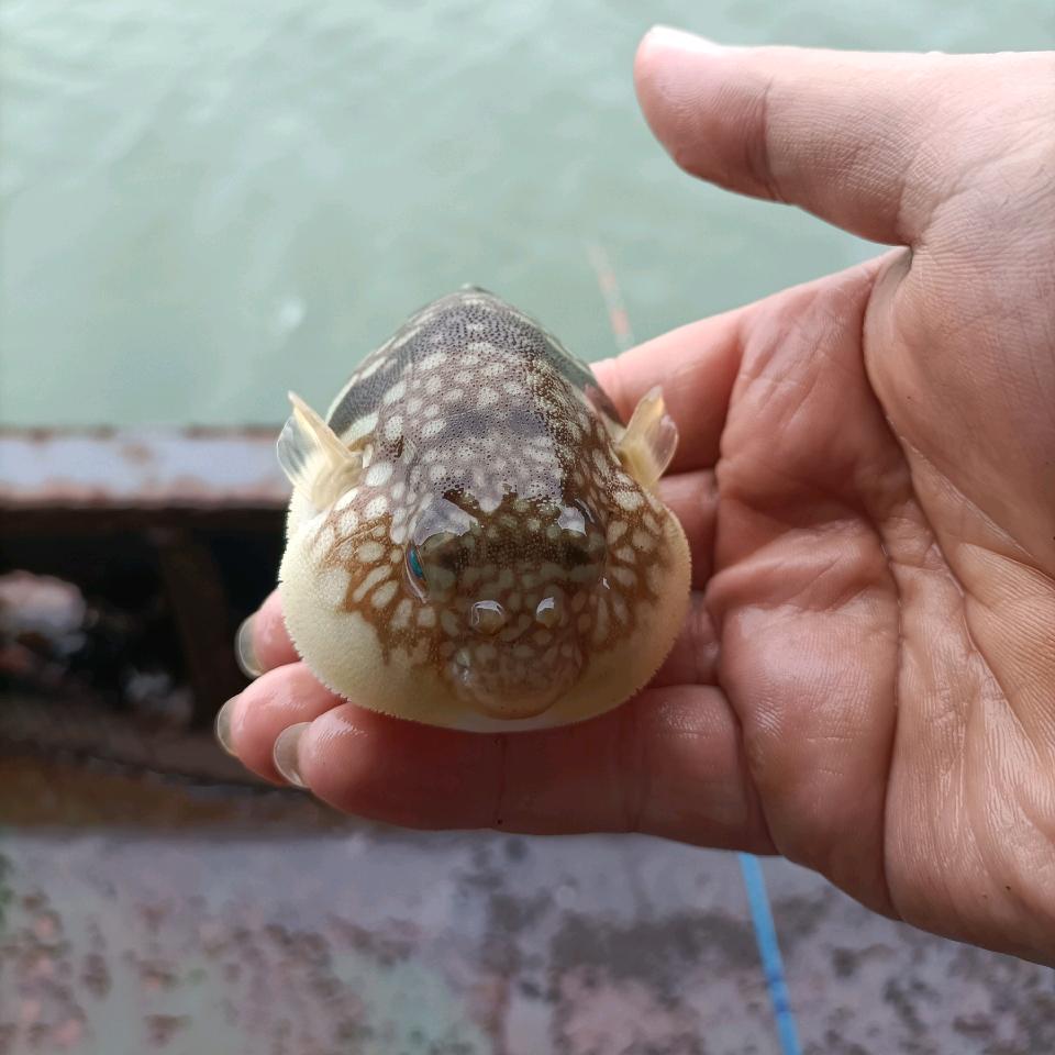 ℡ 谢幕繁华ᵒᵒ