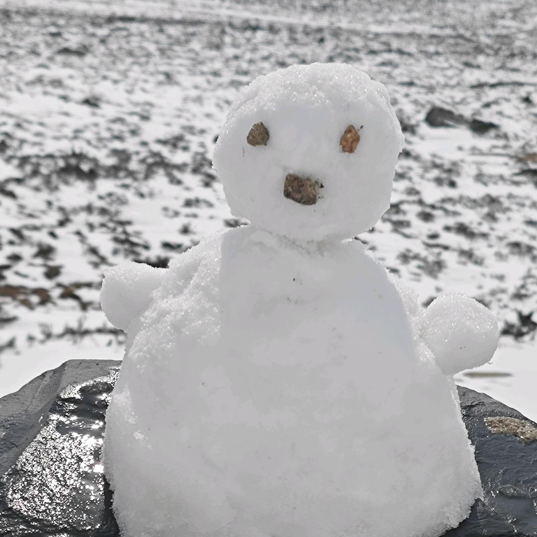 没有耳朵的猫先生