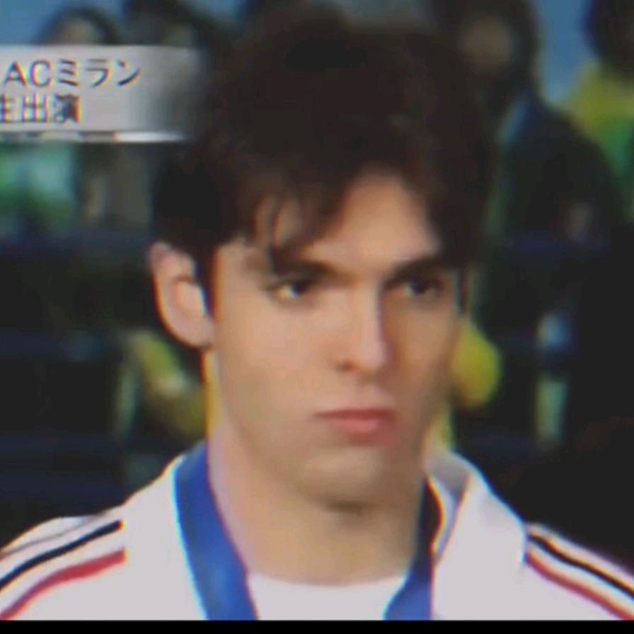 结实小猫咪🌈🌈