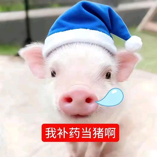 璐璐控