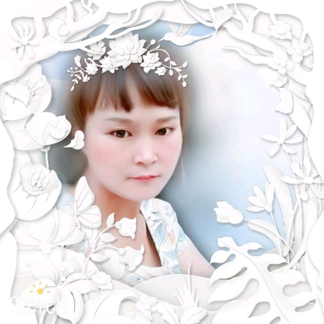 美美姐