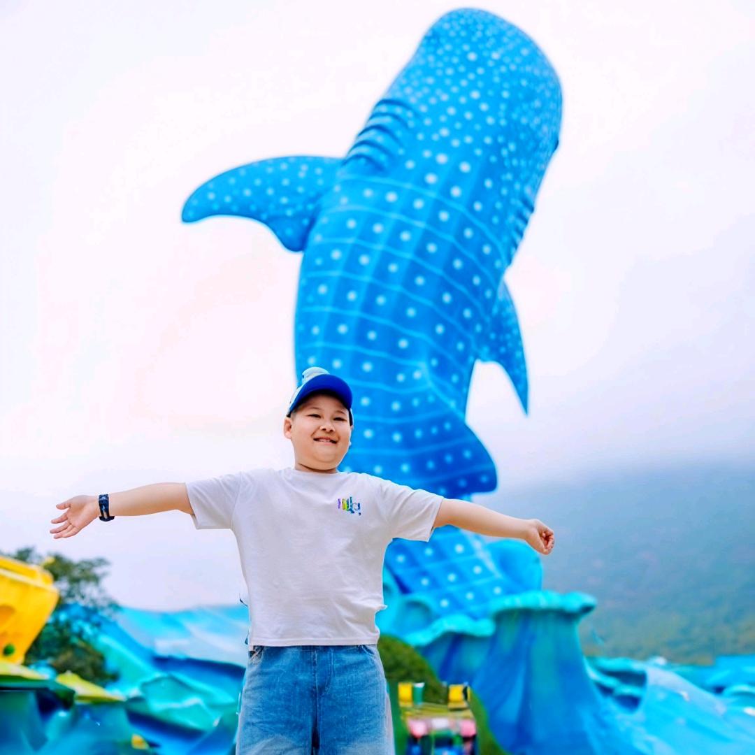 🌟 石头的读书屋☀️